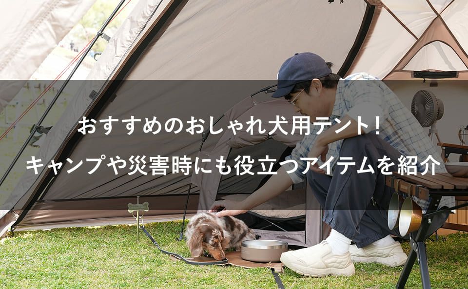 おすすめのおしゃれ犬用テント！キャンプや災害時にも役立つアイテムを紹介