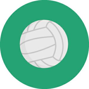 バレーボール