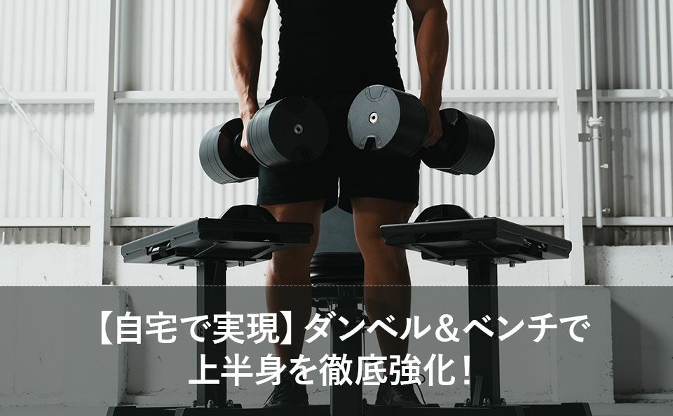 【自宅で実現】ダンベルとベンチから始める上半身強化術！
