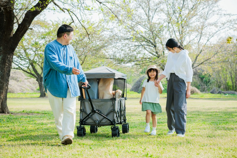 ウッドローチェア ダンディーバージョン の商品詳細 | スポーツ