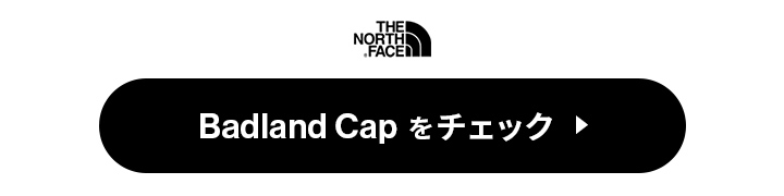 THE NORTH FACE ザ・ノース・フェイス ノースフェイス nn42240