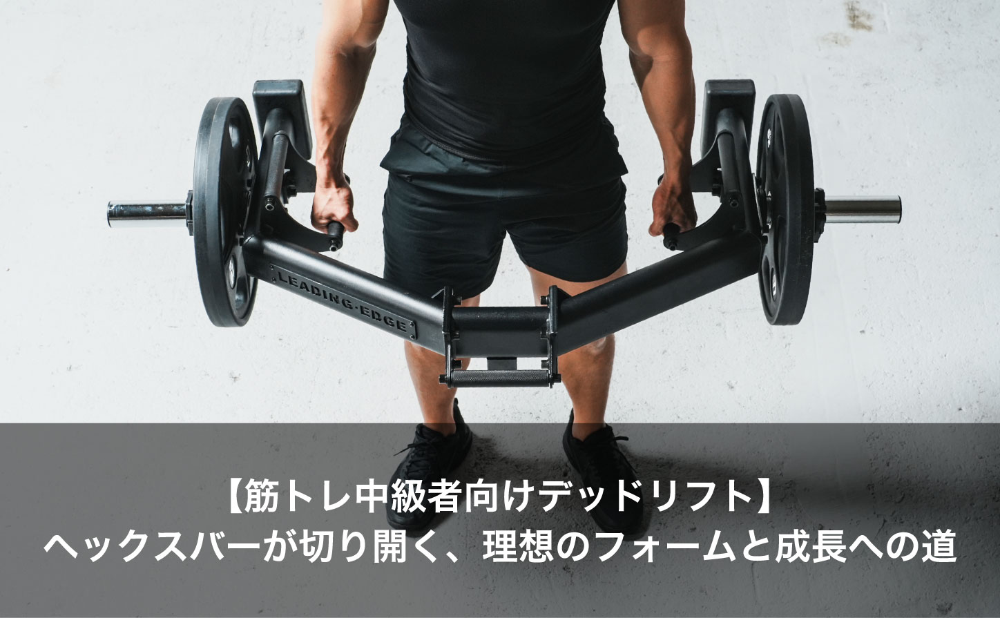 2個口用　ダンベル ナイスデイ プレミアム ステッパー レッド 1024144 ＆ 専用ハンドル