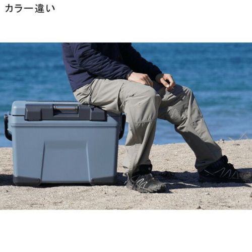 ヴァシランド EL 32L VACILAND EL クーラーボックス モカ NX-232W 