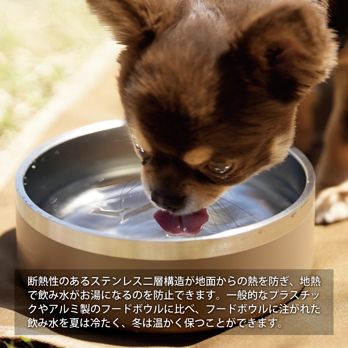 ドッグフードボウル 食器 サンド INNU-FB SD | スポーツ＆レジャー専門