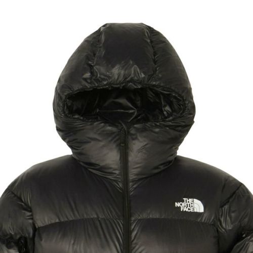 アルパインヌプシフーディ Alpine Nuptse Hoodie メンズ