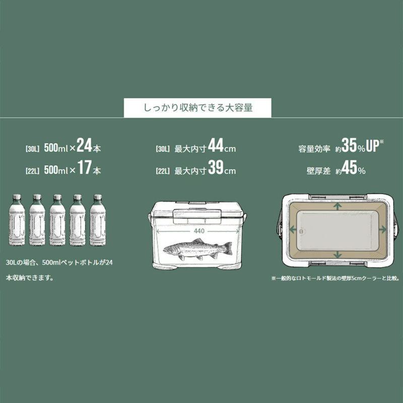 アイスボックス EL ICEBOX EL クーラーボックス チャコール NX-230V
